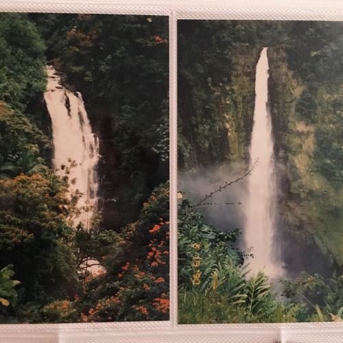 asaplauren: akaka falls - big island, hawai'i - 1990