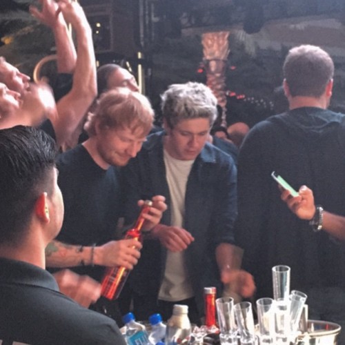 onedhqcentral-blog:   kyounger: Dancing the night away to #DavidGuetta with @niallhoran & @teddysphotos WHAT A TIME TO BE ALIVE!