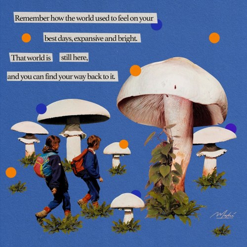decepticookie - Untitled