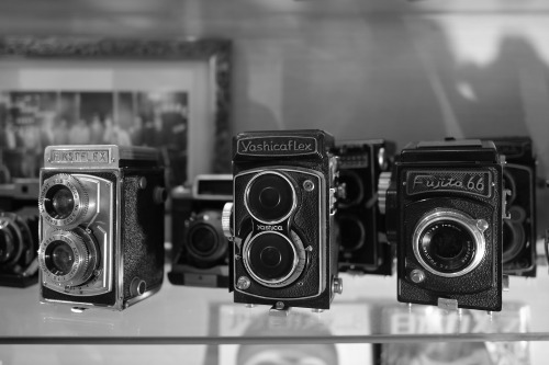 Flex #black and white #cameras #original photography on tumblr