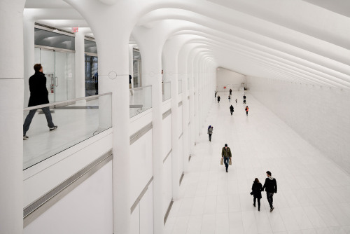 archatlas:World Trade Center Transportation Hub Santiago CalatravaCalatrava’s first major design dec