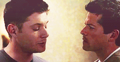 thedoctorsjawn:  favorite ship (σtp) → Destiel 