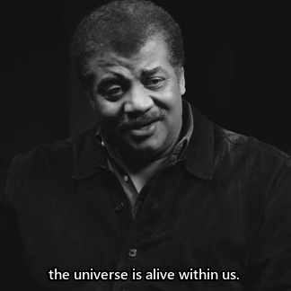 theashleyclements:  dustrial-inc: Its never been “us vs them”, just us fighting