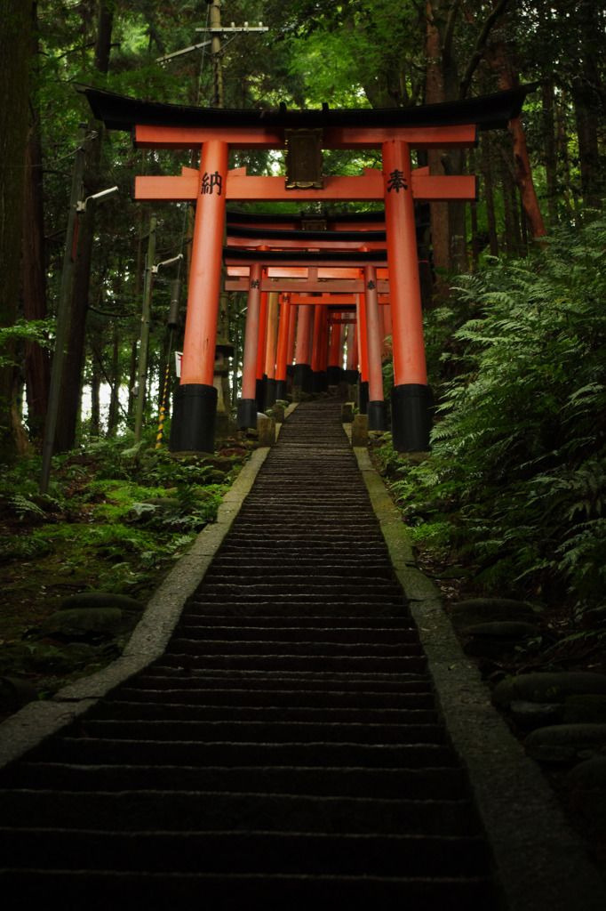 thekimonogallery:  Fushimi Inari-taisha Shinto Torii, Kyoto, Japan 