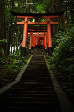 Thekimonogallery:  Fushimi Inari-Taisha Shinto Torii, Kyoto, Japan 