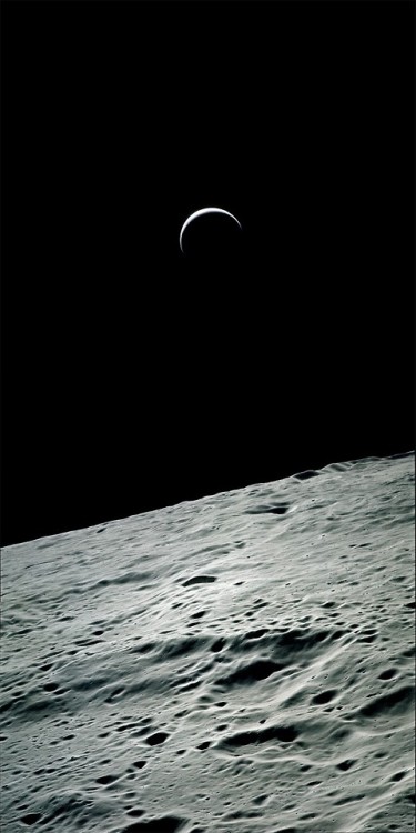 photos-of-space:Apollo 15 Earthrise [2000x3996]