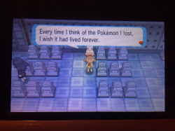 silvermoon424:  DAMMIT, POKEMON. 