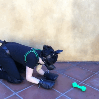 puppykato:  I 💚 my squeaky  