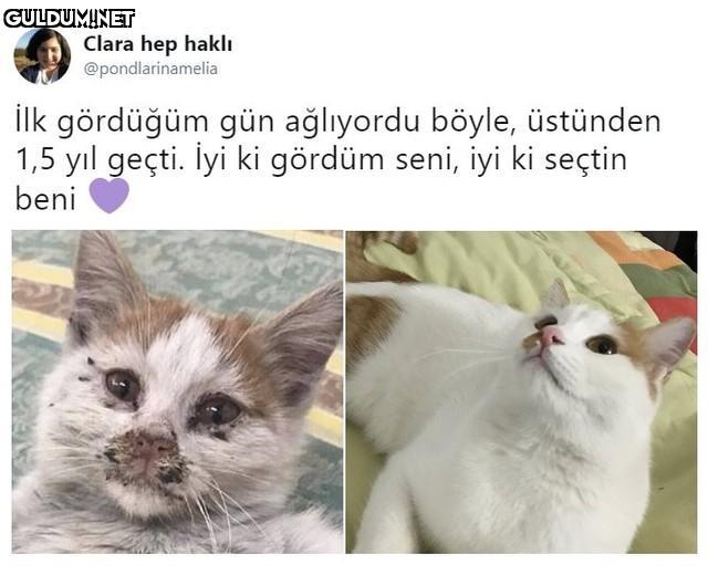 Clara hep haklı...