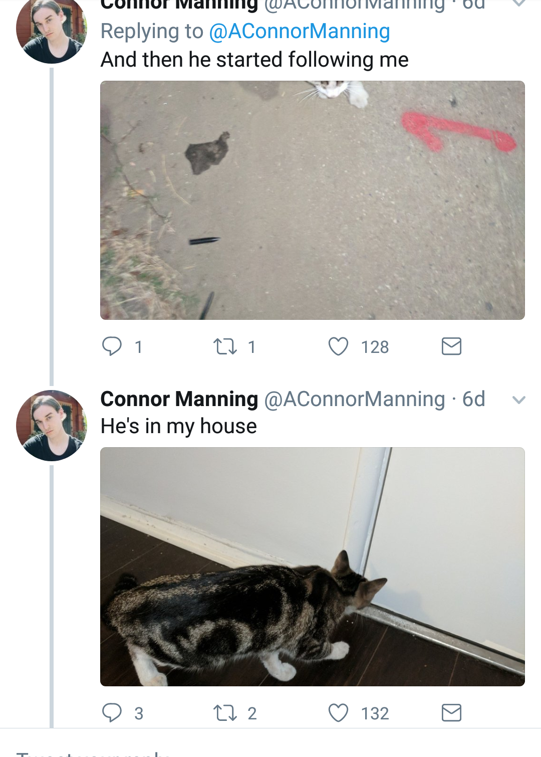 shadow-daughter: ms-cellanies:  aconnormanning: me to the other room: “SOCKS YOU’RE