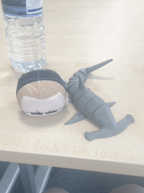 Alby Got A New Friend!! Shark,,