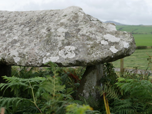 Mynydd Cefn Amlwch (Coetan Arthur) Burial Chamber, the Llyn Peninsula, North Wales, 26.8.16. This pr