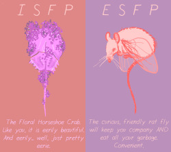 samsketchbook:  Witches, wizards and warlocks have a historical need for a strange companion, be it flora or fauna- but why does it always have to be a guessing game as to what freak of nature you get? Use my handy MBTI guide to figure out what ungodly