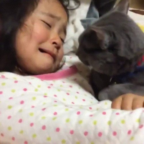 dawwwwfactory:  Don’t cry, I’m here for you. Click here for more adorable animal pics!