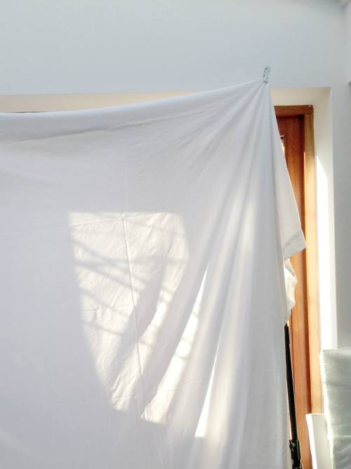 emilyhaddenblog:  Sunlight shooting.