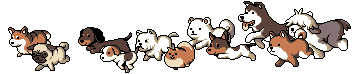 guy: if ur sad do not fear friend i am sending puppies to help u  