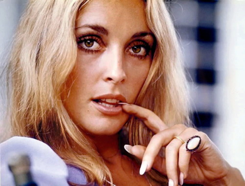 65eatonplace:Sharon Tate by Peter Brüchmann 1968