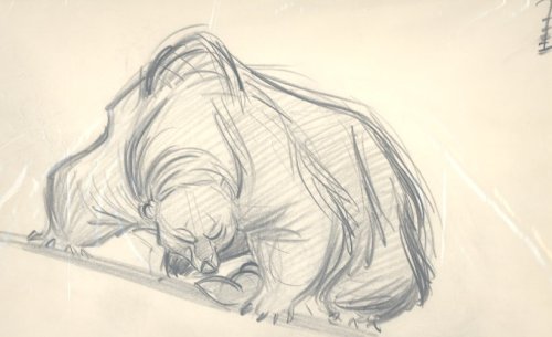 the-disney-elite:  A page of Glen Keane’s pencil animation of the Bear from Disney’s The Fox and the