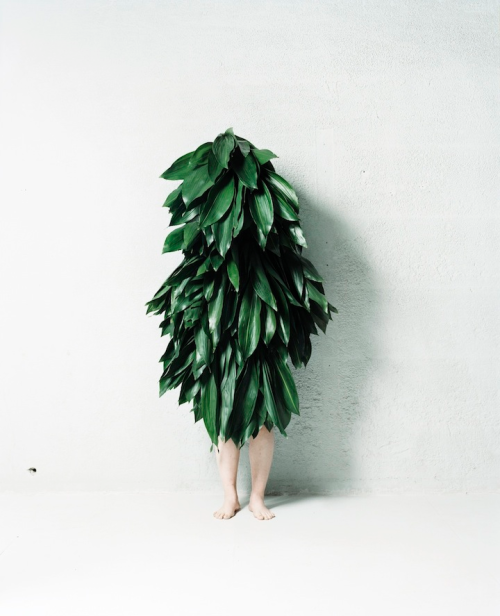 pikeys:  Leaf Man, 2011 by Azuma Makoto 