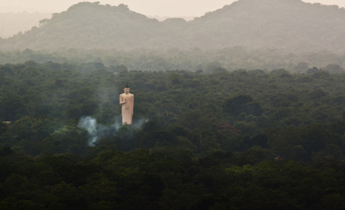 unrar:  A massive golden Buddha in Dambulla on a sunny day, Sri Lanka, Alex Saberi.