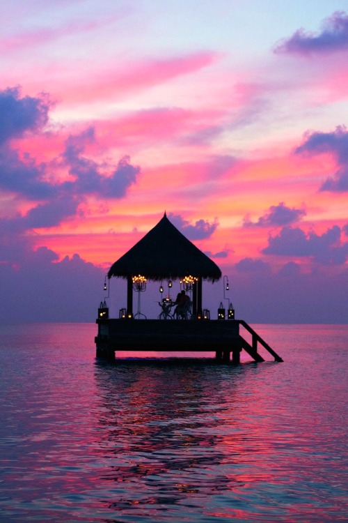 Sex robert-dcosta:  Taj Exotica Maldives || © pictures
