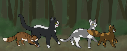 more warrior cat ocs bc thats who i am now it’s robinpaw and elmpaw’s first day of being
