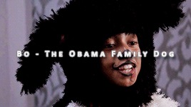 zrunkinlove:  michealapratt:   Happy Halloween: Black-ish Edition 🎃   Lmaooo he