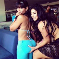 Big booty and busty latinas & more