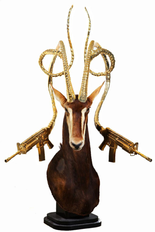 asylum-art-2:   Peter Peter Gronquist’s Taxidermy Gun Antlers  Peter Gronquist makes the  unlikely combination of taxidermy and symbols of power and luxury.  Taking the traditional forms of taxidermy, Peter creates gold and silver  antlers for the stuffed