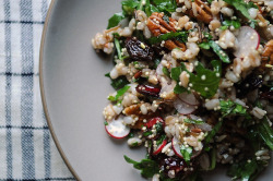 food52:  Chock full of good stuff.Radish and Pecan Grain Salad via Food52