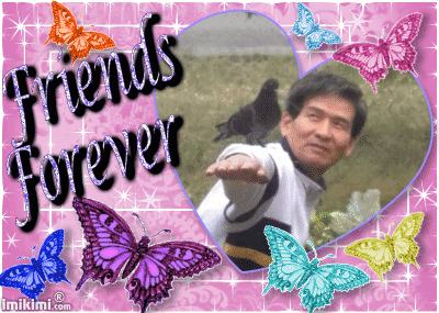 i-kool-kat:eunnieboo:  so a few days ago i sat down for dinner and my mom handed me the camera with a strange look on her face. all she said was “you need to see this” and i was like ?? okay but then that is my dad with a pigeon on his head. SO OF