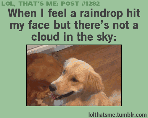 gif-giz:  oto kiralama