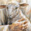lambforjesus