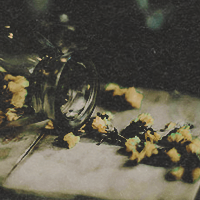Voir un profil - Blue Soriano Tumblr_pz3ba4OzdZ1x1l0y5o2_250