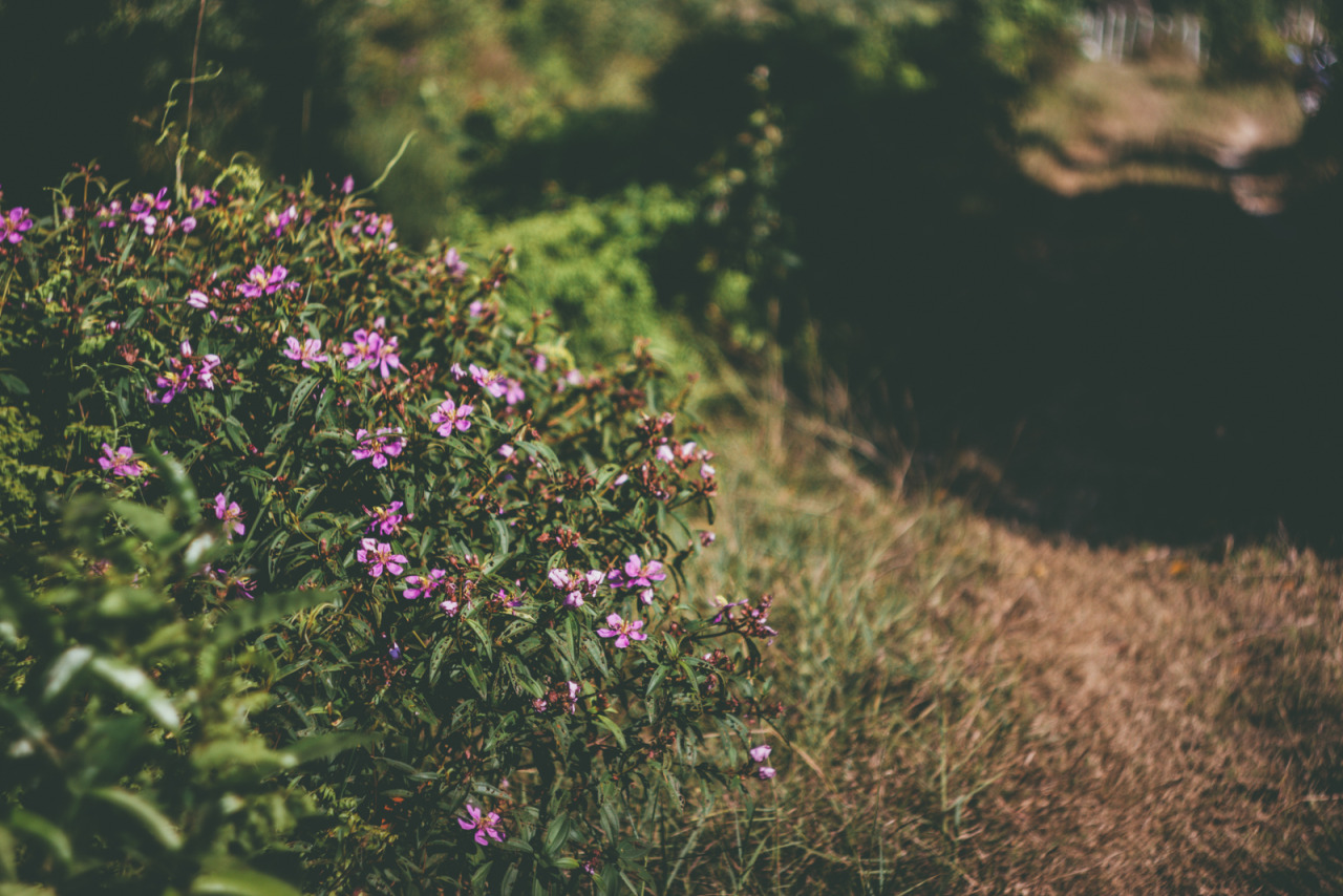niknyllenne:  Photographing the moment because you know this place will change someday