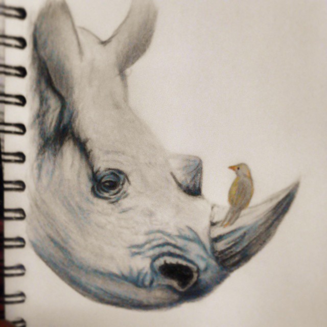 #boceto de #ilistracion #expresiongrafica #rinoceronte #gris #lapizdecolor  #prismacolor