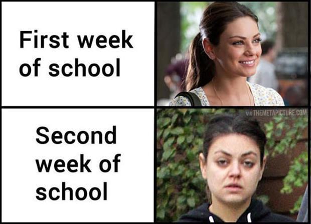 《》