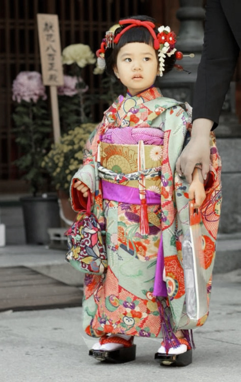 thekimonogallery - Japanese girl dressed for Shichi-go-san...