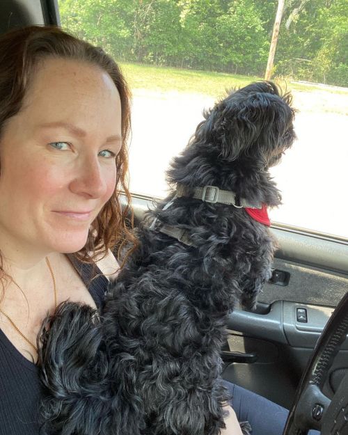 <p>Lester here. My favorite thing is to ride in the truck and go to the dump. They give me treats and I get so excited. Then I’m super tired and nap the rest of the day. </p>

<p>#shihtzu #shihtzusofinstagram #landfilldog #blackdog #truckride  (at Robertson County, Tennessee)<br/>
<a href="https://www.instagram.com/p/CPY_7p5rhu_/?utm_medium=tumblr">https://www.instagram.com/p/CPY_7p5rhu_/?utm_medium=tumblr</a></p>