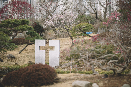 2021-02-27Plum BlossomsCanon EOS R6 + RF85mm f1.2LInstagram  |  hwantastic79vivid