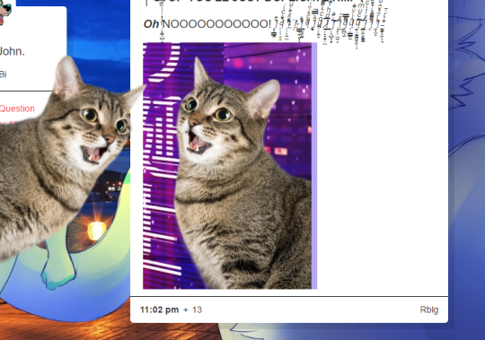 finalfantasyvii: bluesturngold:  finalfantasyvii:  bluesturngold:  finalfantasyvii:  get this fucking cat off of my blog  ok, i’m gonna reblog this post to put the cat on my blog, and then you can delete the original post from your blog thus leaving