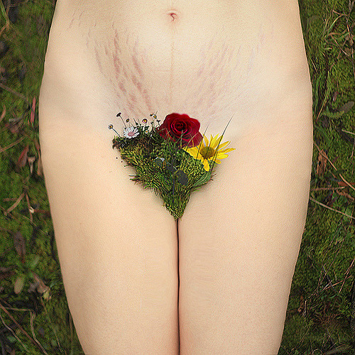 definitelydope:  By Alexandra Sophie  Jardin fleuris is a series representing the different ages of a woman. The first picture is called Virgin Soil, the second is called Mûres which means both “blackberries” and “mature” representing puberty