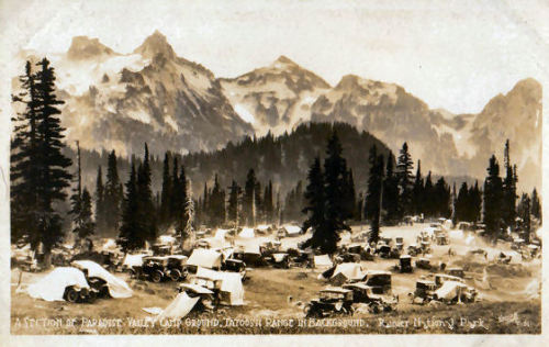 A section of Paradise Valley Camp Ground, Tatoosh Range in Background, Rainier National Park