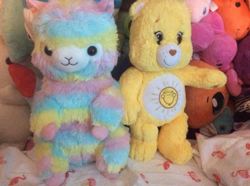 Been awhile since I ordered from Otaku Mode! Went for the Rainbow Alpacasso backpack and a bunch of 