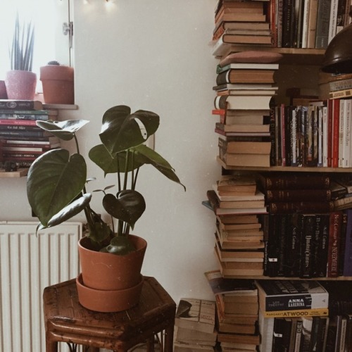 jonireadsbooks:A little corner of my apartment.
