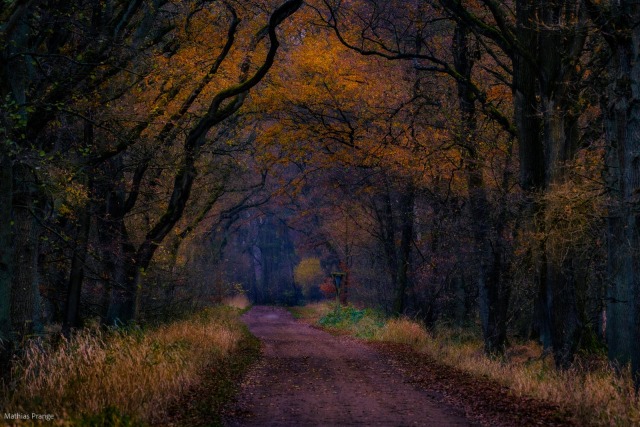 Transformation into a dream. Driving processing to the top: It was a a boring day with boring weather and so I decided to help...