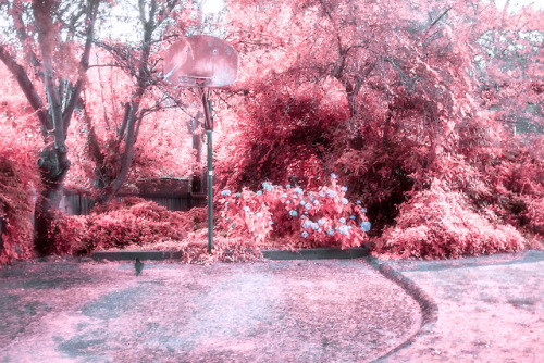 traurigtoby: photo dump (red)find me on instagram for pictures and math help (optional): @traurigtob