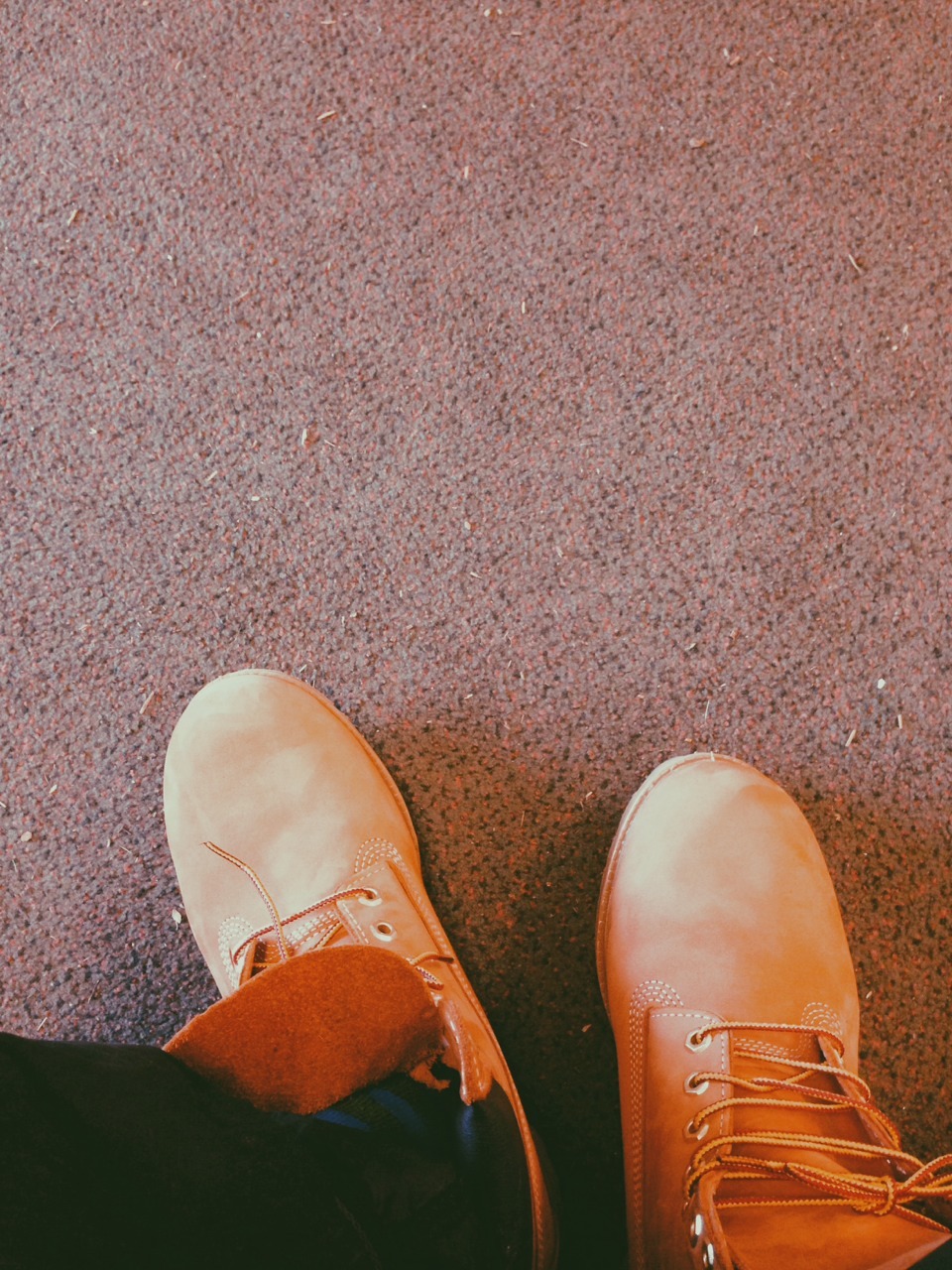 coogotti:  fav shoes 