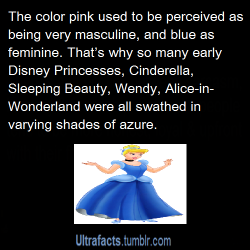 bandgeek-tacos-and-such:  ultrafacts:  Source For more facts, Follow Ultrafacts  Actually, before Hitler’s regime, the masculine color was pink and blue was the color for females. This all changed when Hitler started using colored stars to identify