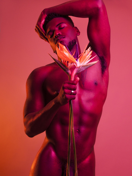 siroyagihkd:   Emerich Cipriano by Stef Lohstroh for eroticco adult photos